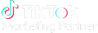Tiktok Partner